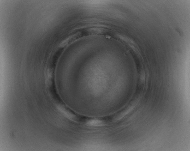 X0000114420759200910161228