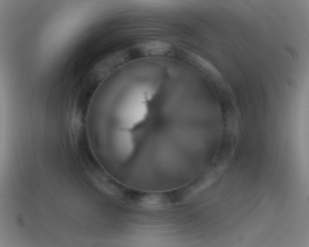 X0000114420761200910161228