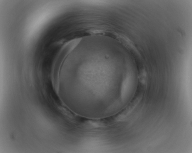 X0000114420763200910161228