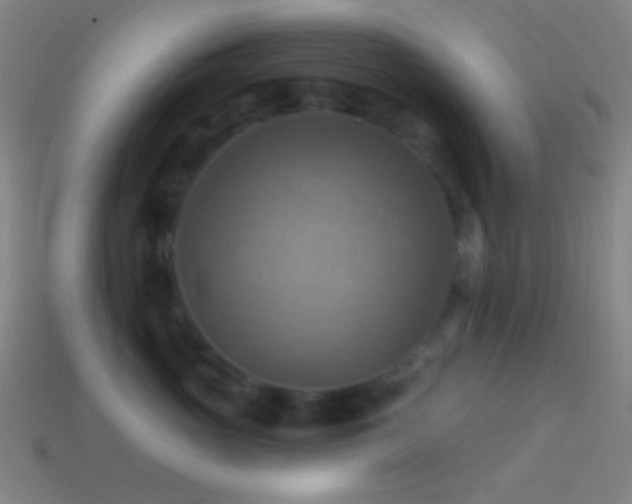 X0000114420765200910161228