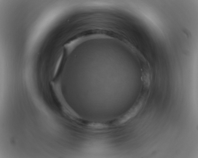 X0000114420766200910161228