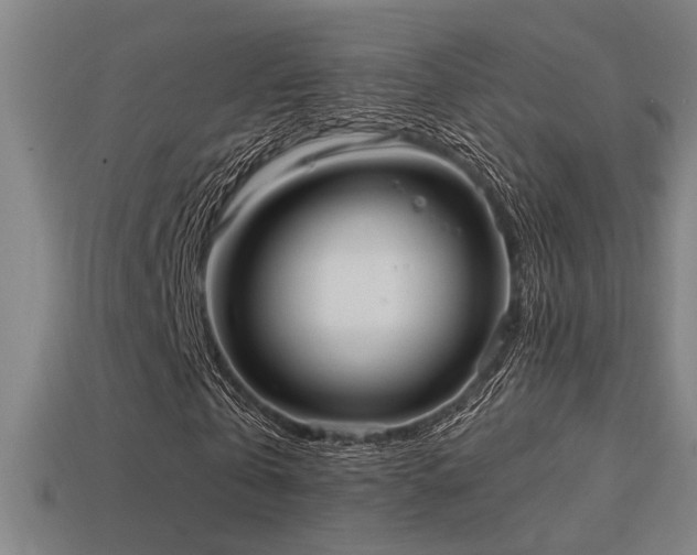 X0000114420769200910161227