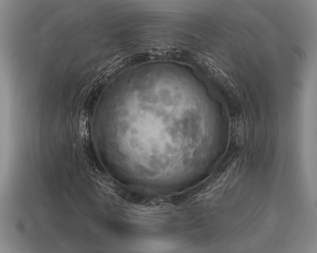 X0000114420770200910161227