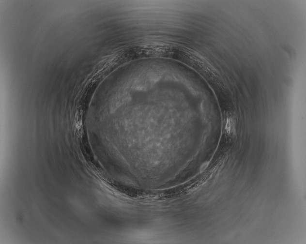 X0000114420771200910161227