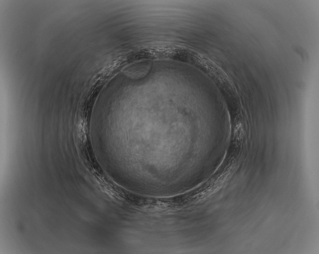X0000114420772200910161227