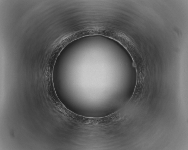 X0000114420773200910161227