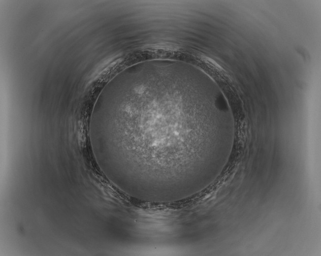 X0000114420774200910161227