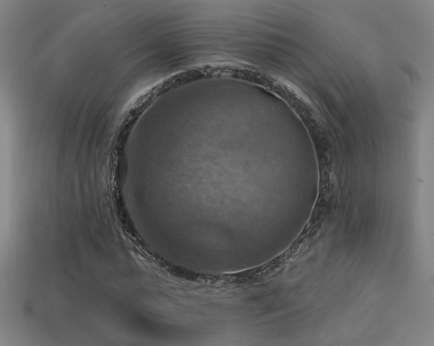 X0000114420775200910161227