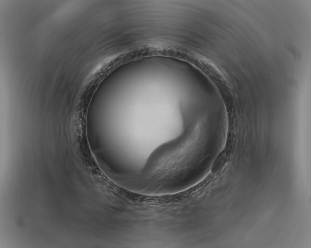 X0000114420776200910161227