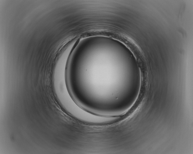 X0000114420777200910161227