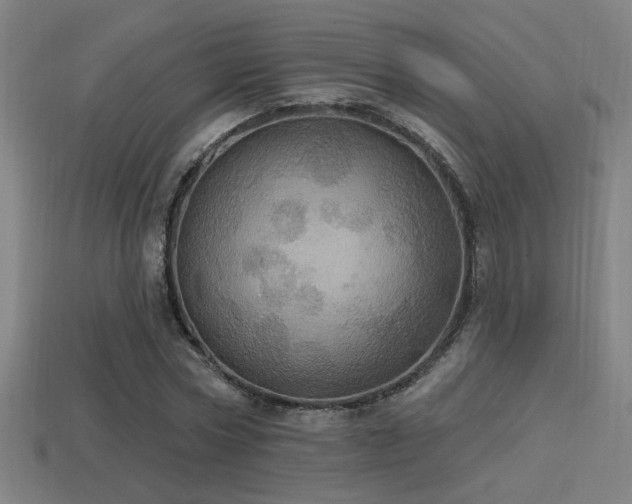 X0000114420778200910161227