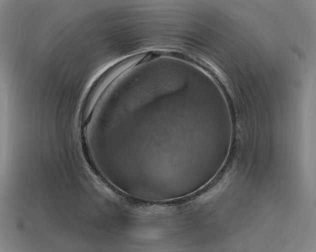 X0000114420779200910161227