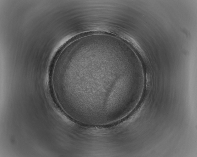 X0000114420780200910161227