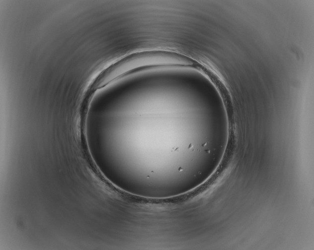 X0000114420781200910161227