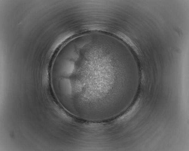 X0000114420782200910161227