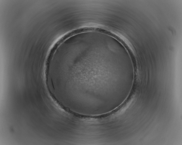X0000114420783200910161227