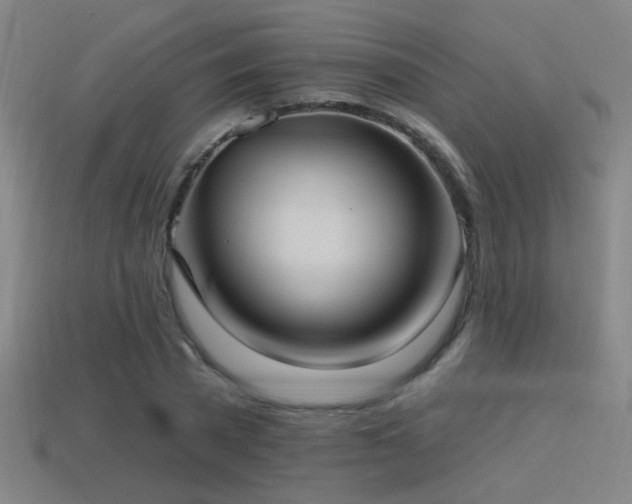 X0000114420785200910161227