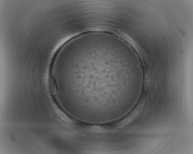 X0000114420787200910161227