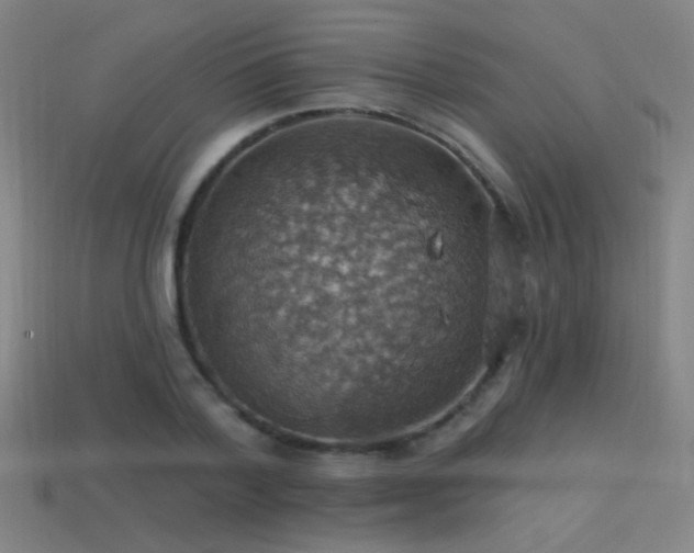X0000114420788200910161227
