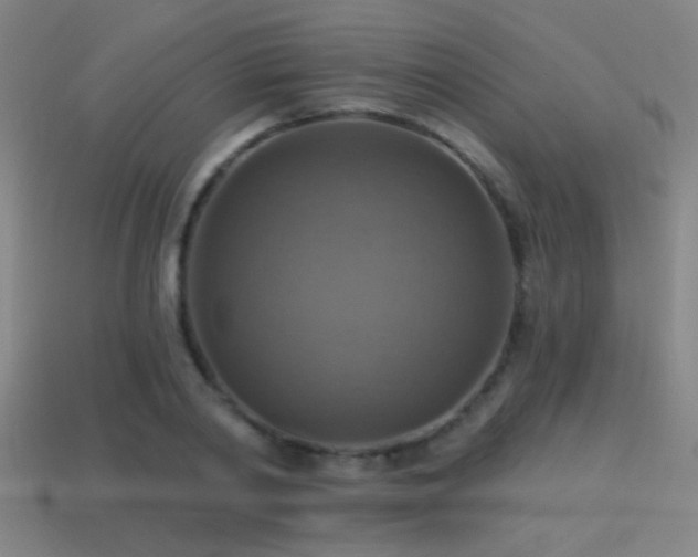 X0000114420790200910161227