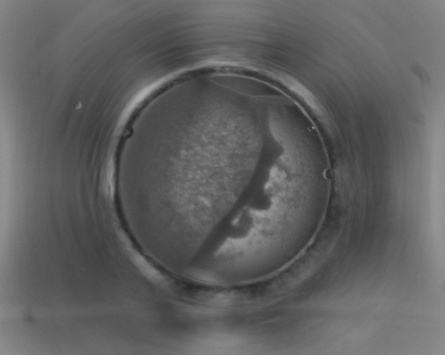 X0000114420791200910161227