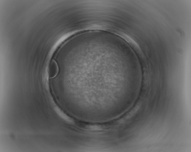 X0000114420792200910161227