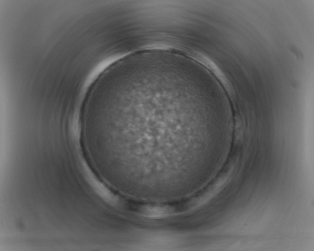 X0000114420795200910161227