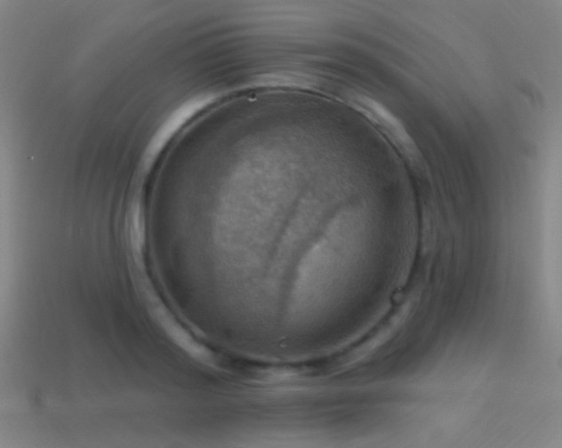 X0000114420796200910161227