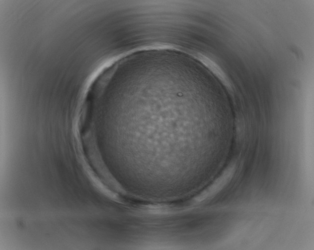 X0000114420797200910161227