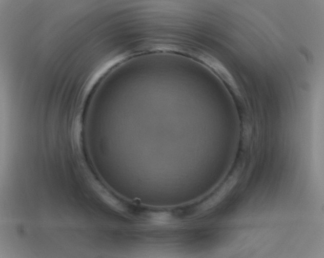 X0000114420798200910161227