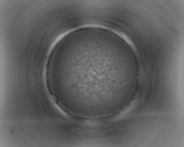 X0000114420799200910161227