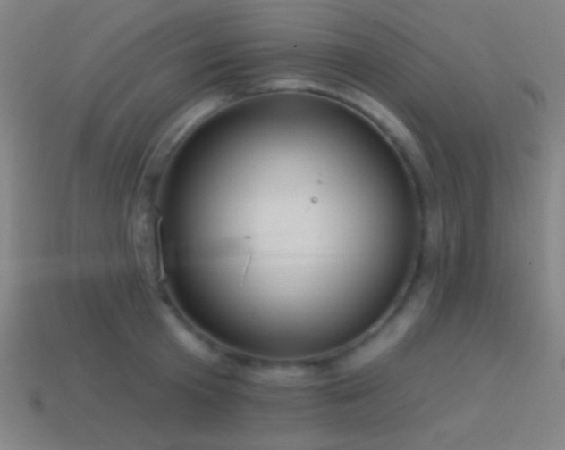X0000114420801200910161227