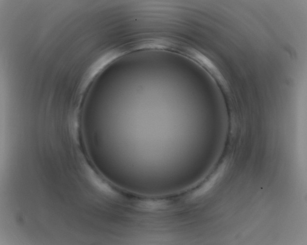 X0000114420802200910161227
