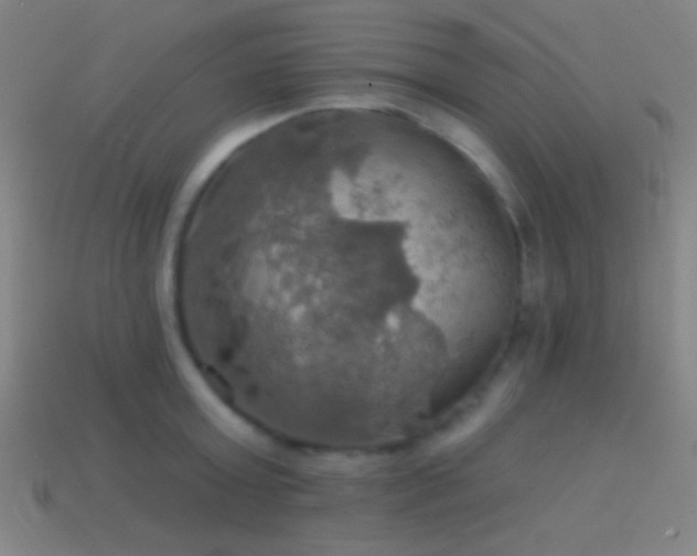X0000114420803200910161227