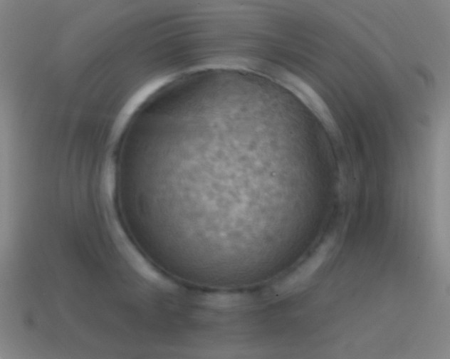 X0000114420804200910161227