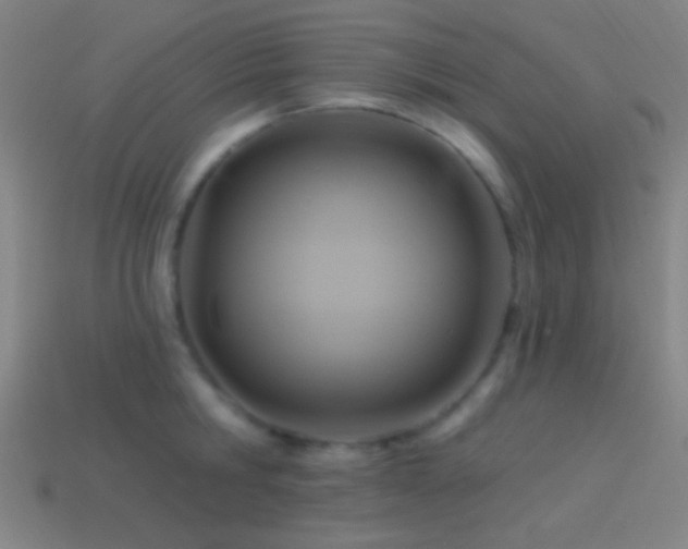 X0000114420806200910161227