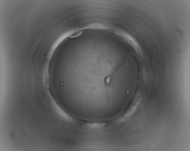 X0000114420808200910161227