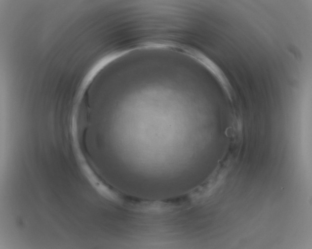 X0000114420811200910161227
