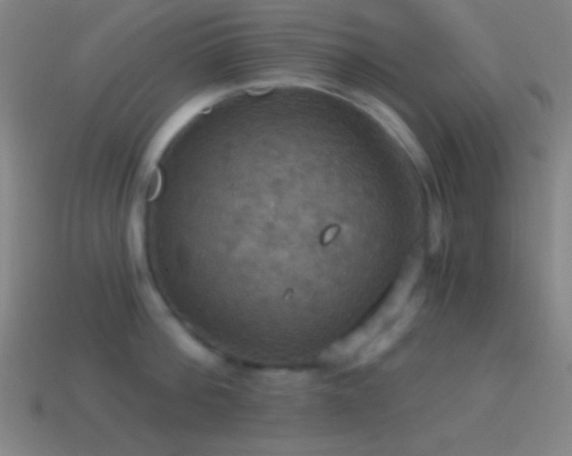 X0000114420812200910161227