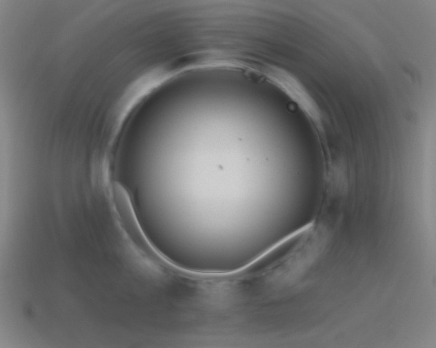 X0000114420813200910161227