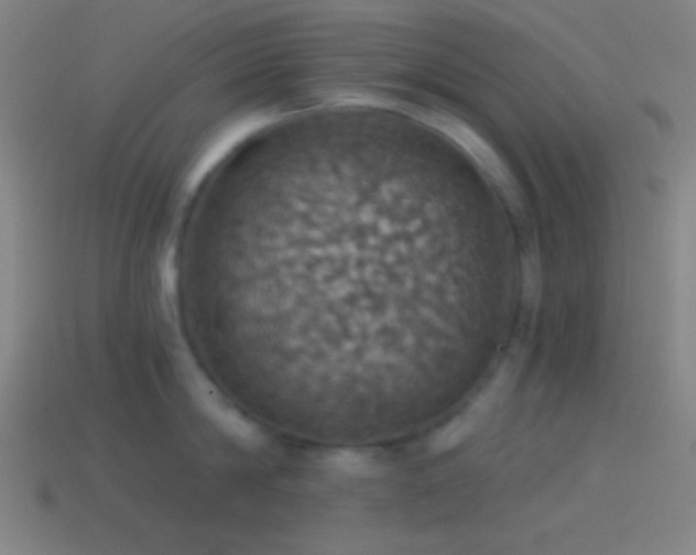 X0000114420814200910161227