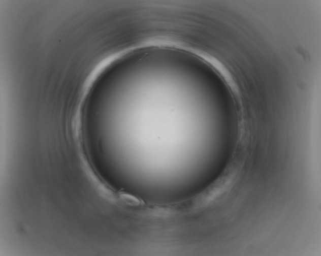 X0000114420815200910161227