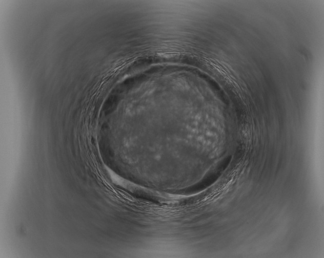 X0000114420817200910161226