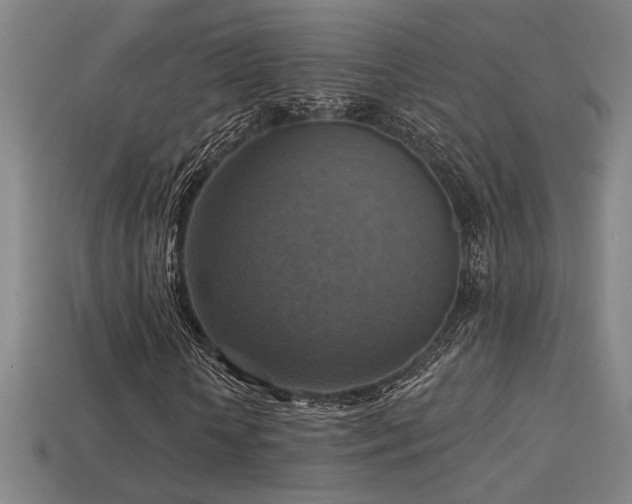 X0000114420818200910161226