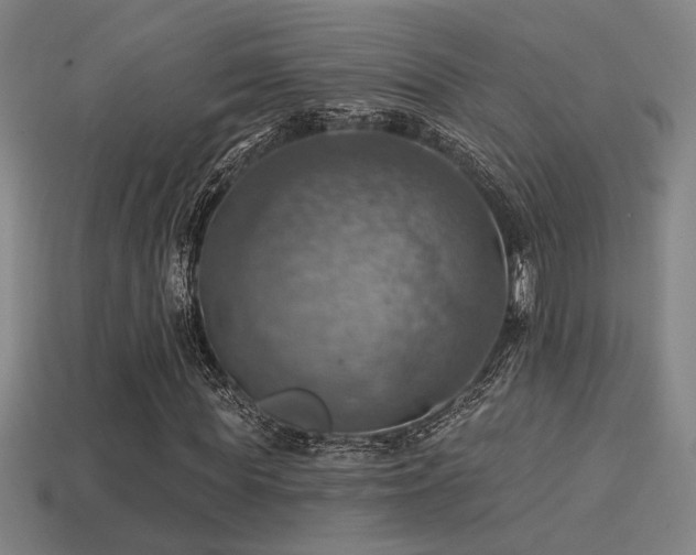 X0000114420819200910161226