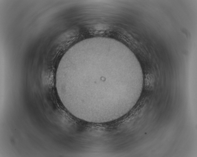 X0000114420820200910161226