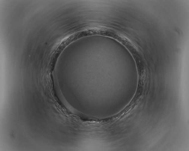 X0000114420822200910161226