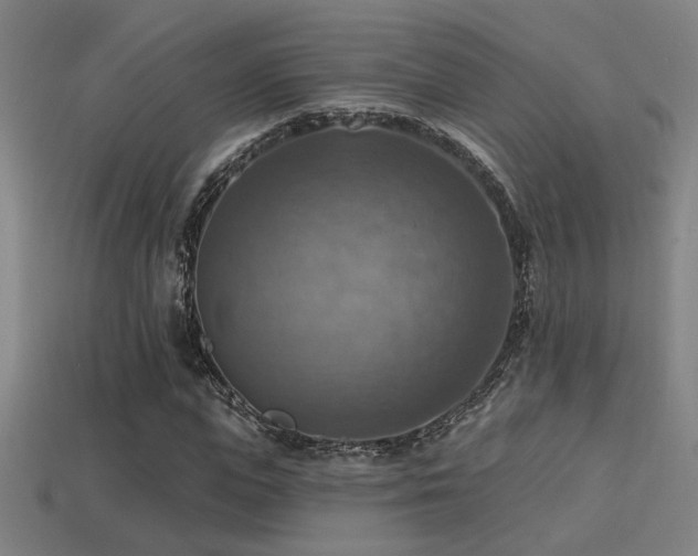 X0000114420823200910161226