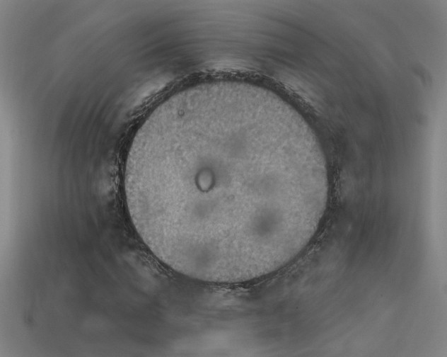 X0000114420824200910161226