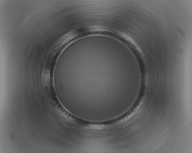 X0000114420825200910161226